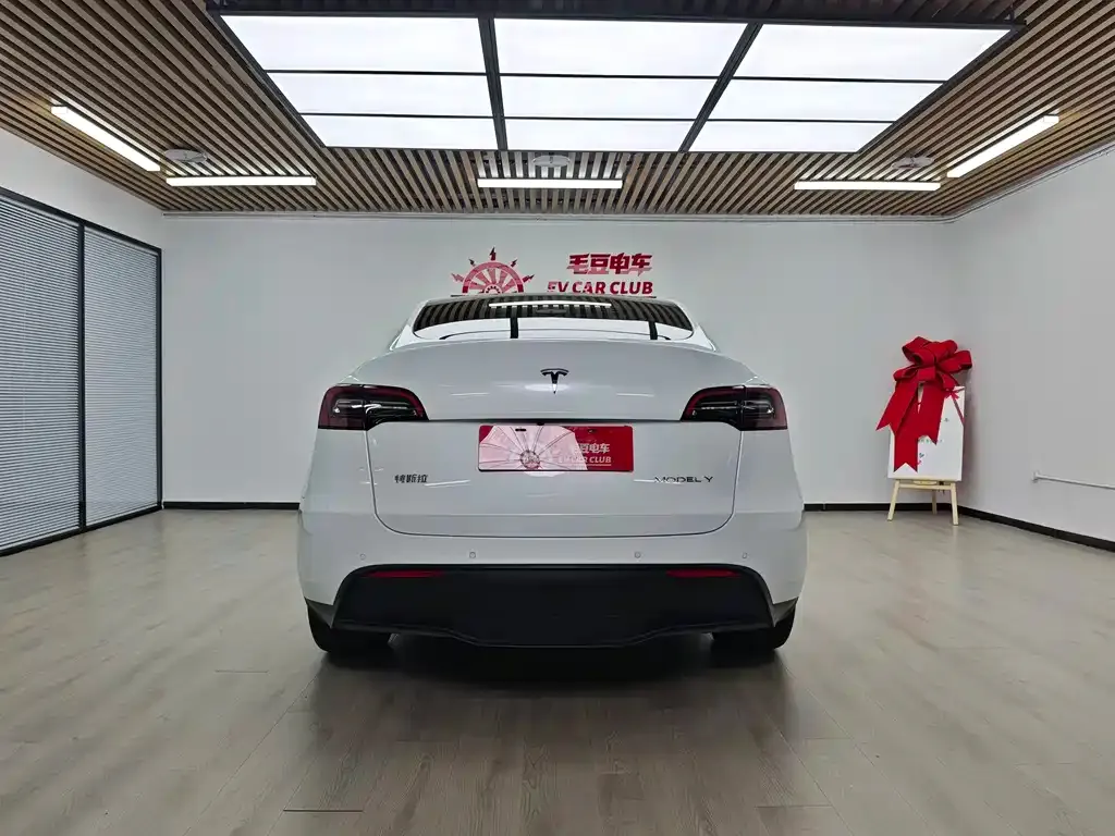 Tesla Model Y — фото 5