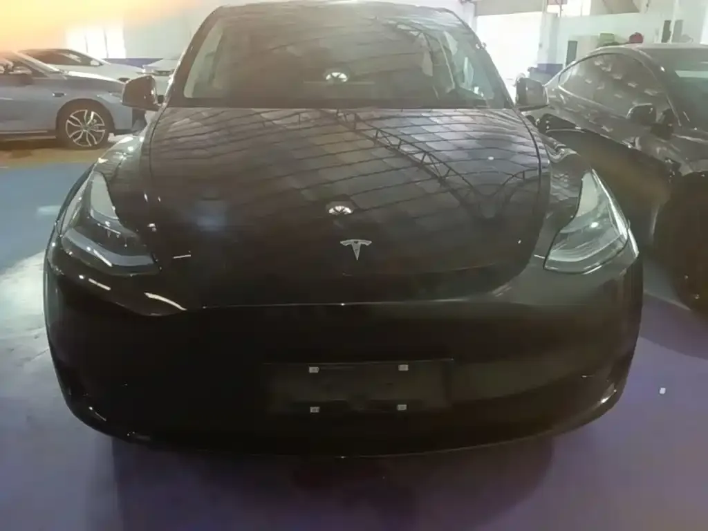 Tesla Model Y — фото 9