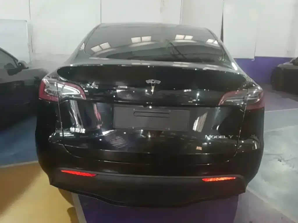 Tesla Model Y — фото 10