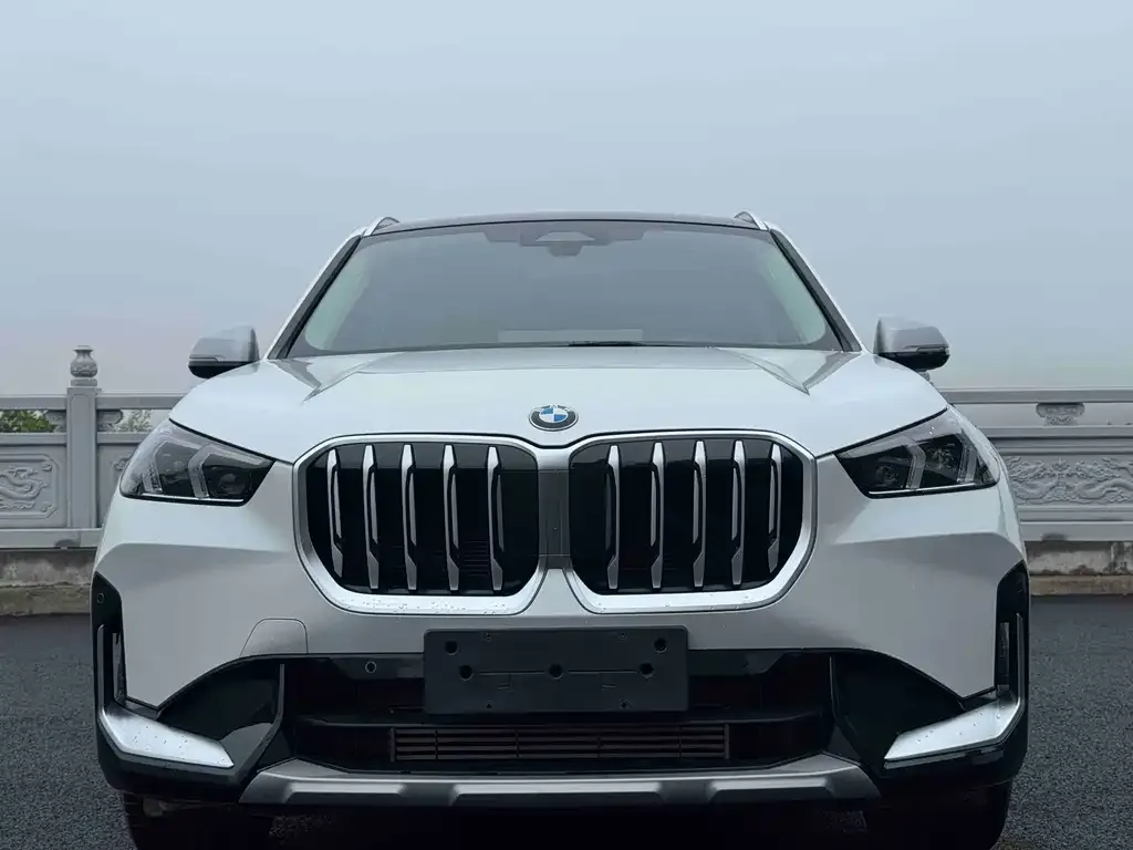 BMW X1 — фото 2