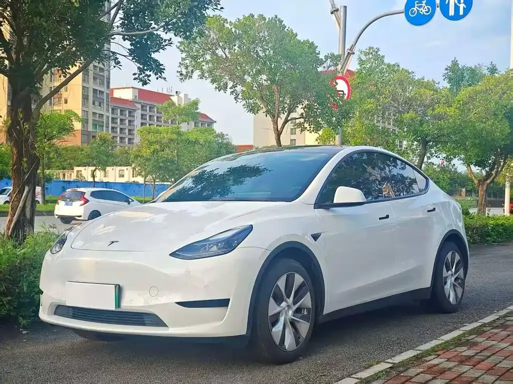 Tesla Model Y — фото 1