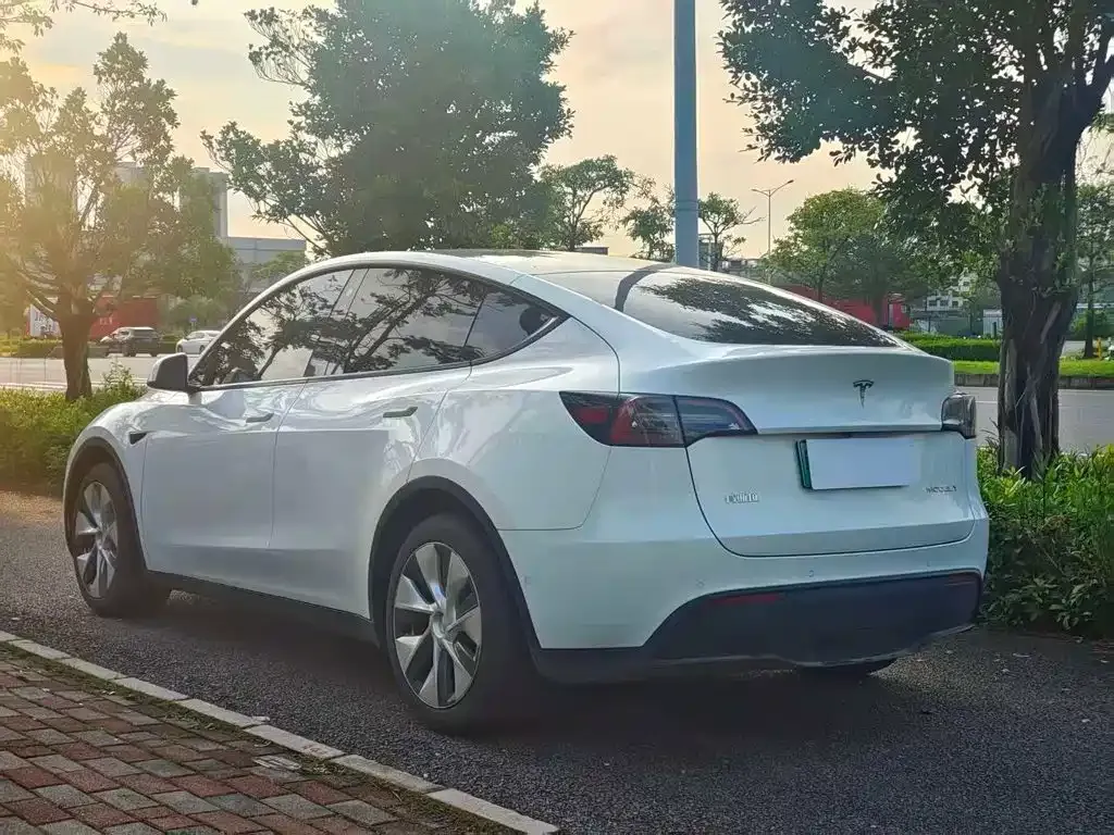 Tesla Model Y — фото 5