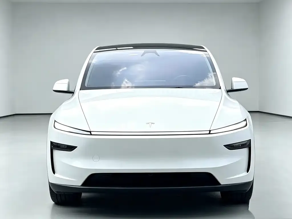 Tesla Model Y — фото 5
