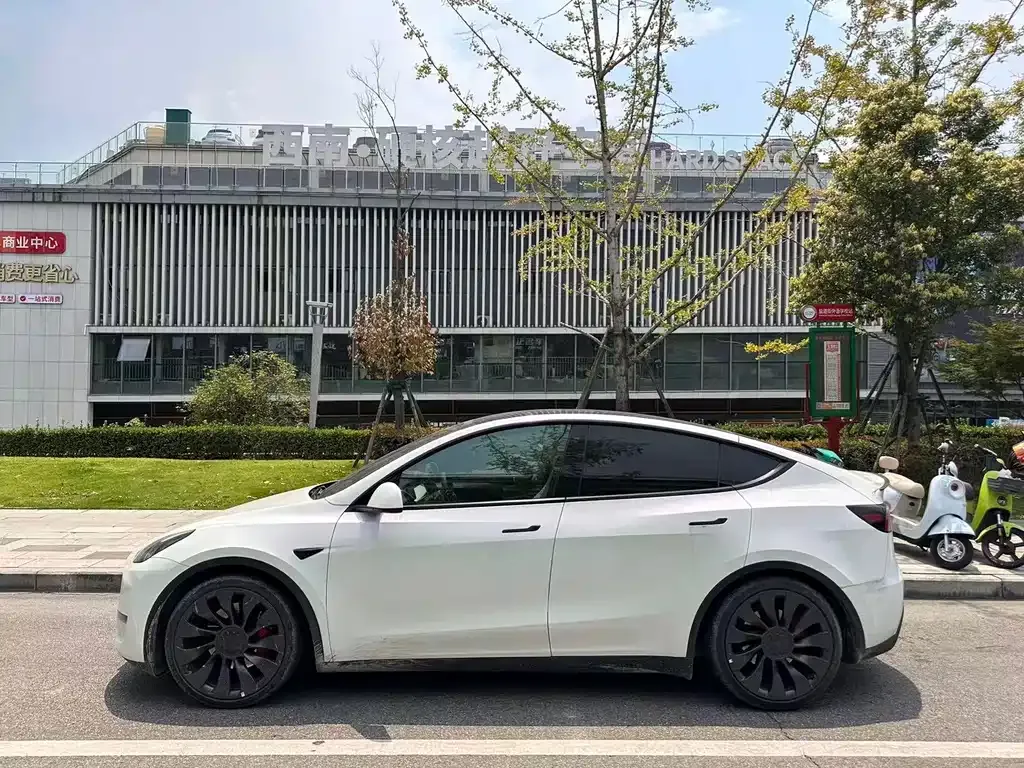 Tesla Model Y — фото 5