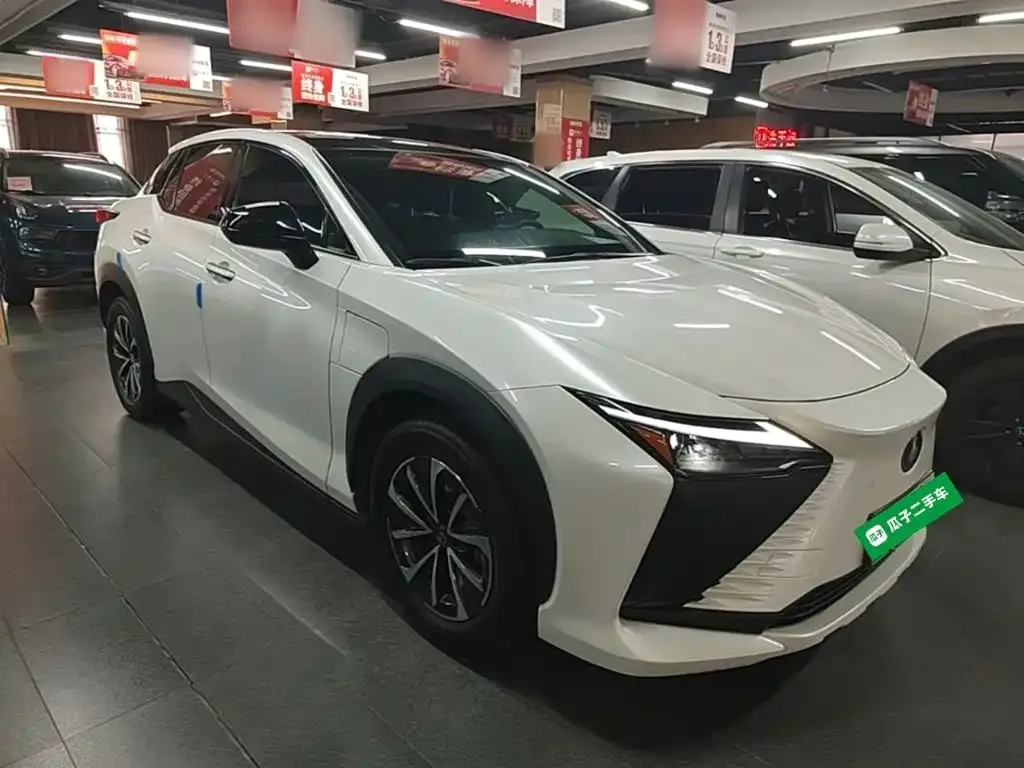 Lexus RZ — фото 8