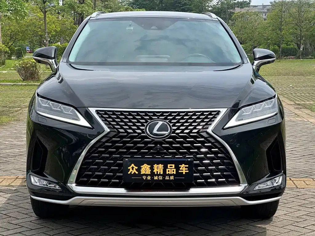 Lexus RX — фото 8