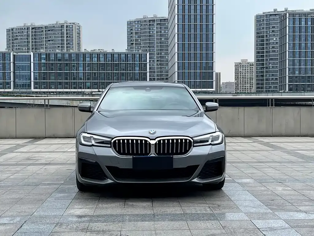 BMW 5 Series (Import) — фото 10