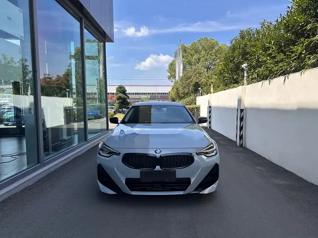 BMW 2 Series (Import) — фото 8