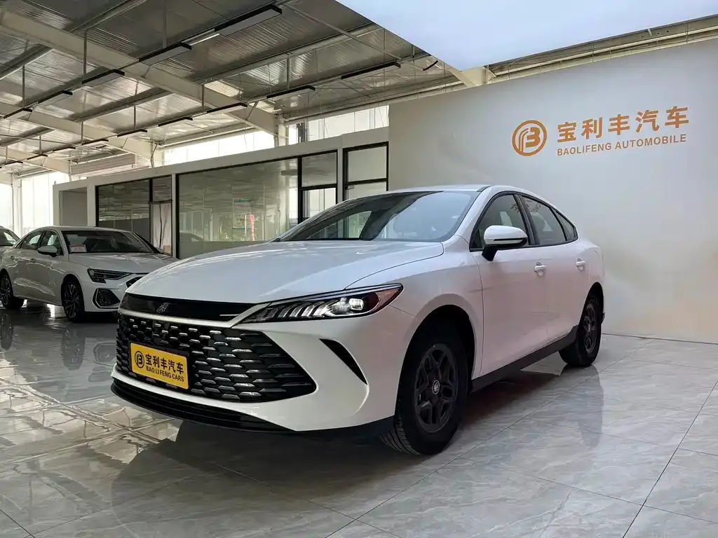BYD Qin PLUS — фото 1