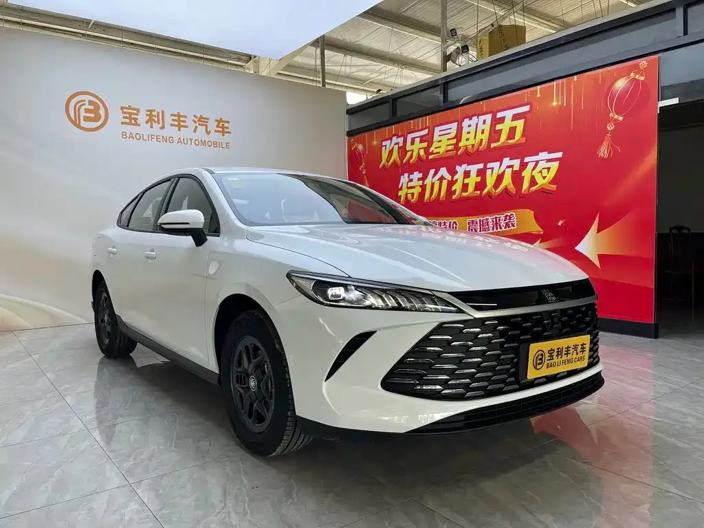 BYD Qin PLUS — фото 6