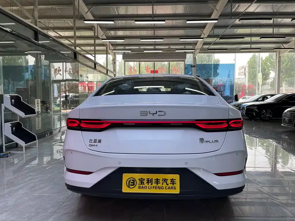 BYD Qin PLUS — фото 5