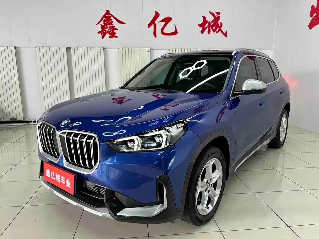 BMW X1 — фото 1