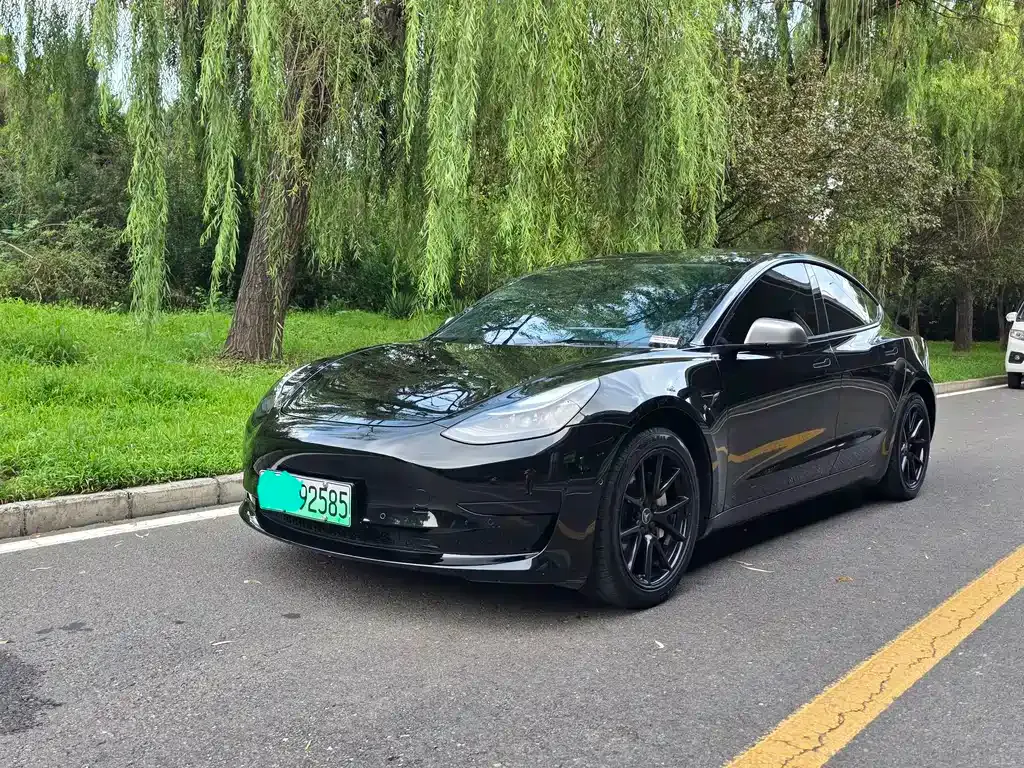 Tesla Model 3 — фото 1