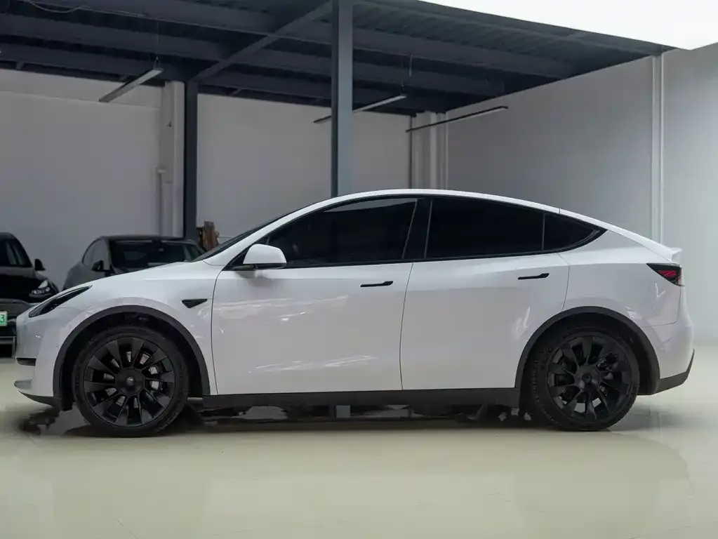 Tesla Model Y — фото 9