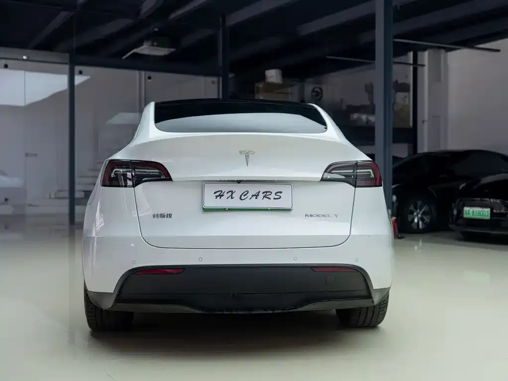 Tesla Model Y — фото 5