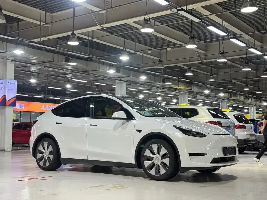 Tesla Model Y — фото 10