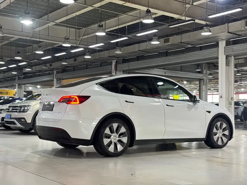 Tesla Model Y — фото 6