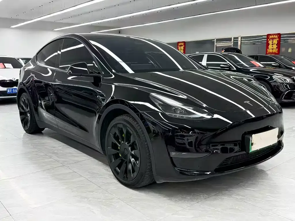 Tesla Model Y — фото 10