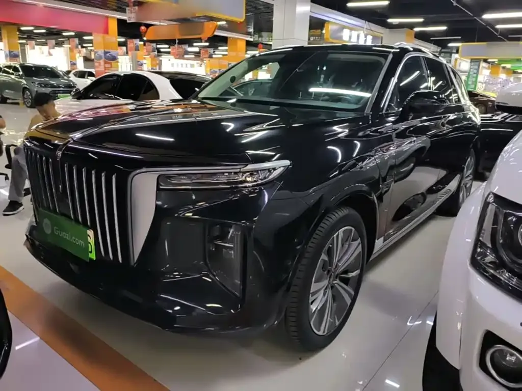 Hongqi E-HS9 — фото 1