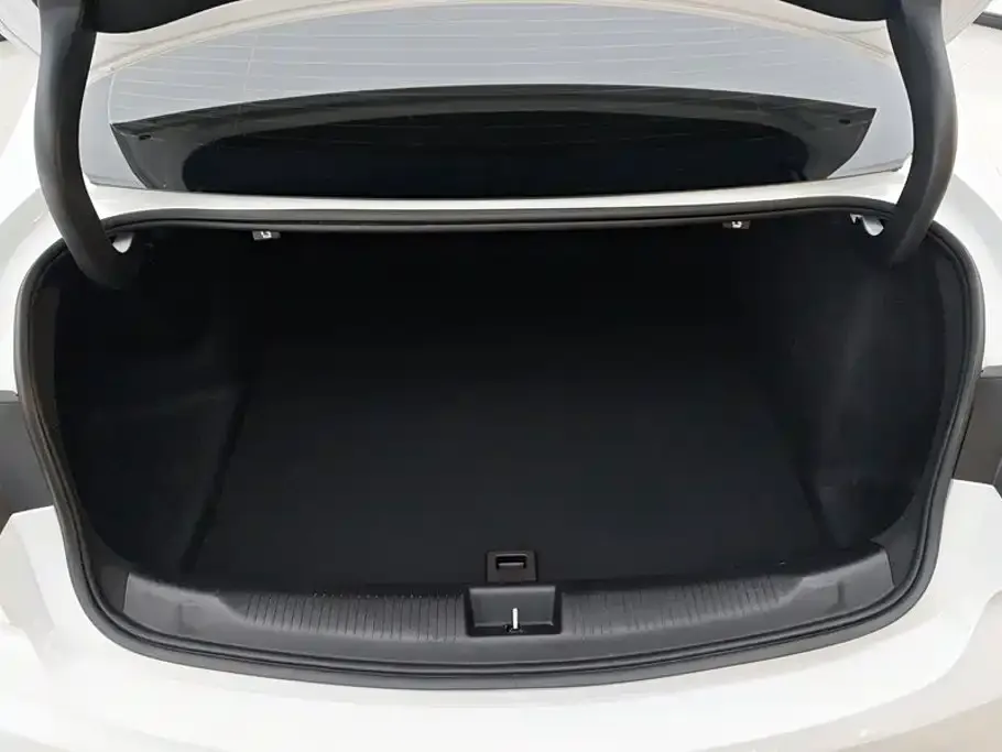 Buick Regal — фото 5