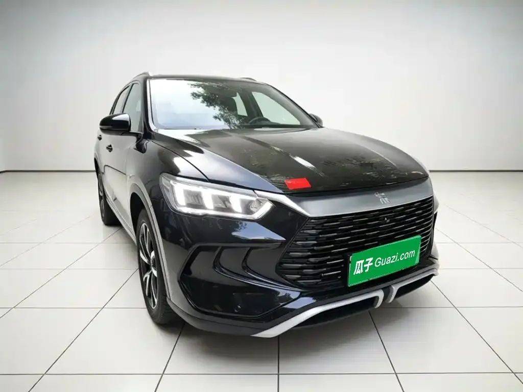 BYD Pro New Energy — фото 6