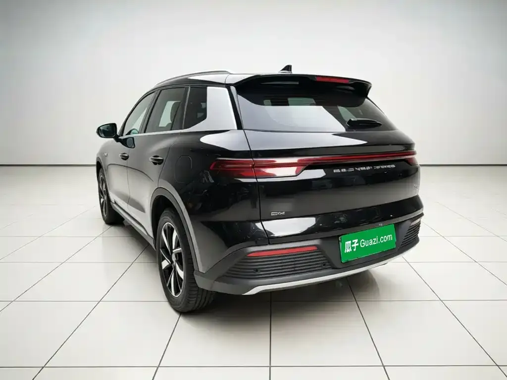 BYD Pro New Energy — фото 3