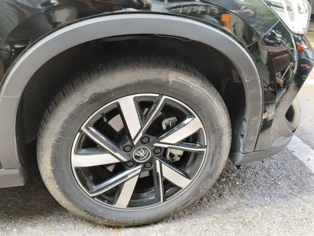 BYD Pro New Energy — фото 10