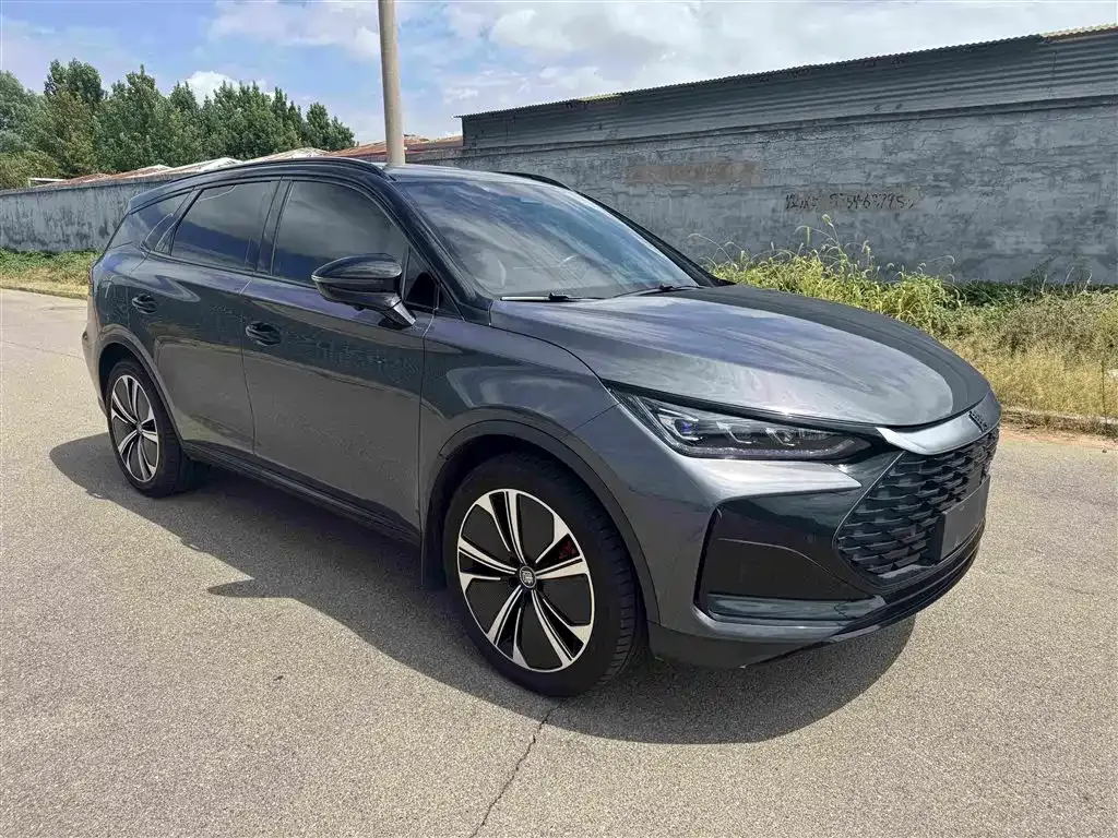 BYD Tang New Energy — фото 10