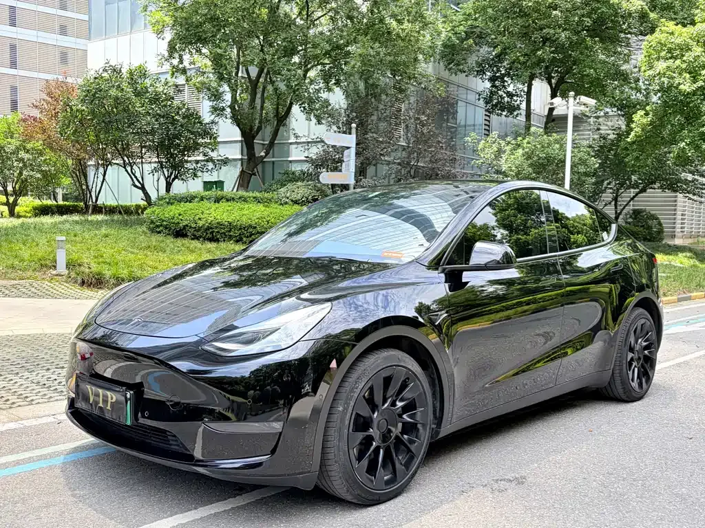 Tesla Model Y — фото 1