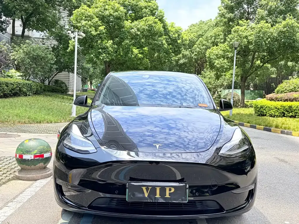Tesla Model Y — фото 6