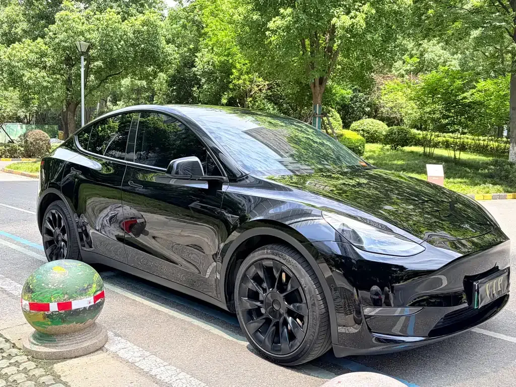 Tesla Model Y — фото 8