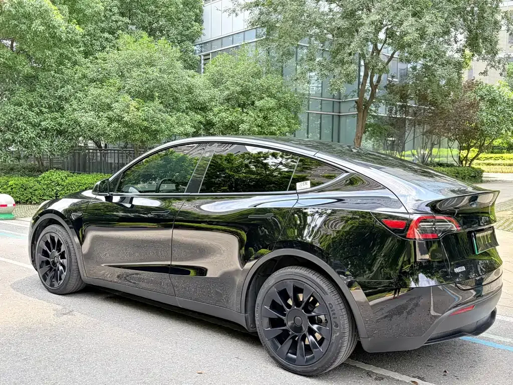 Tesla Model Y — фото 9