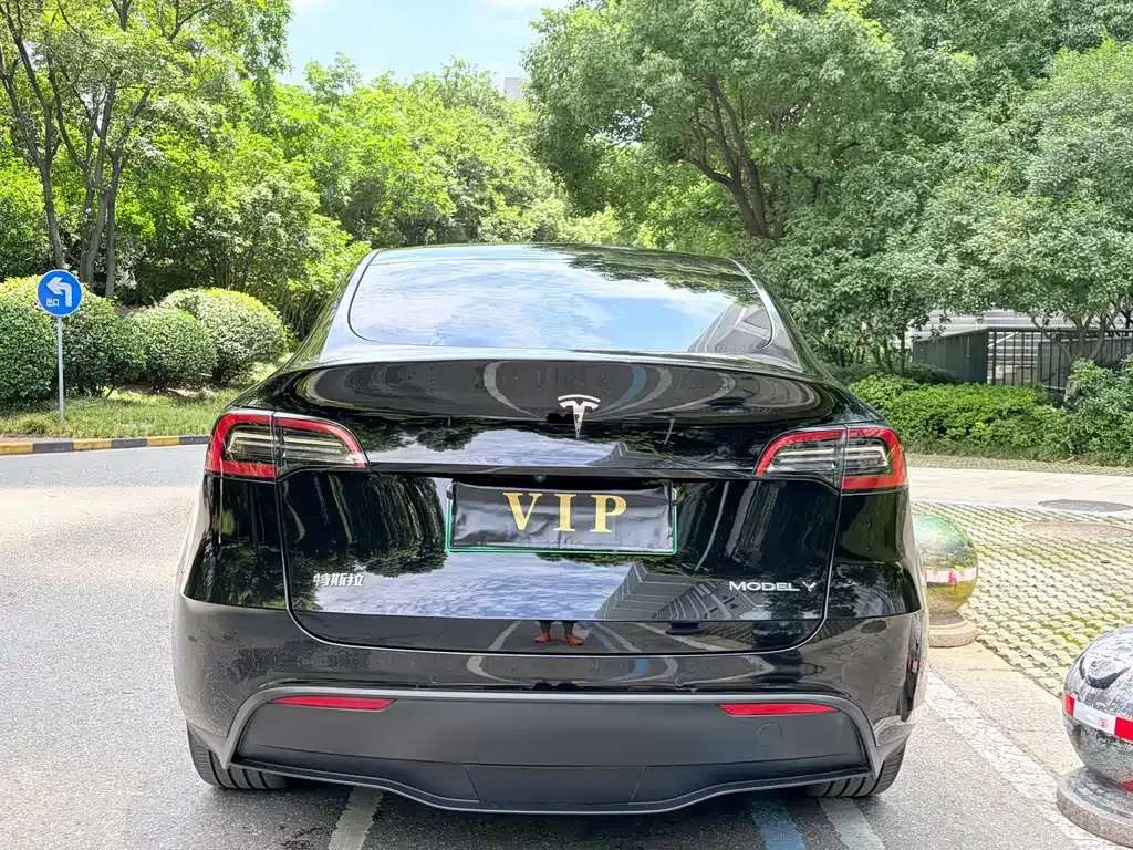 Tesla Model Y — фото 5