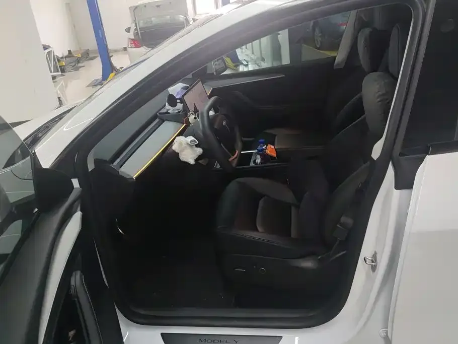 Tesla Model Y — фото 10