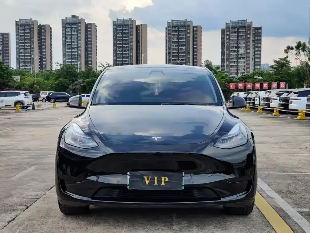 Tesla Model Y — фото 6