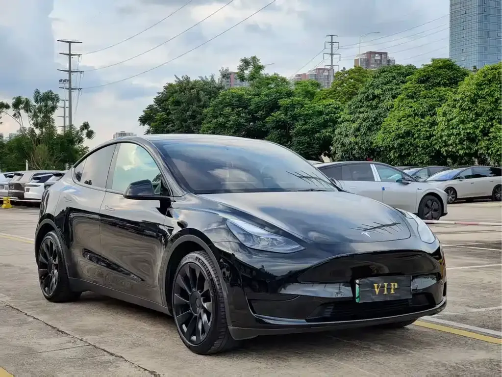 Tesla Model Y — фото 8