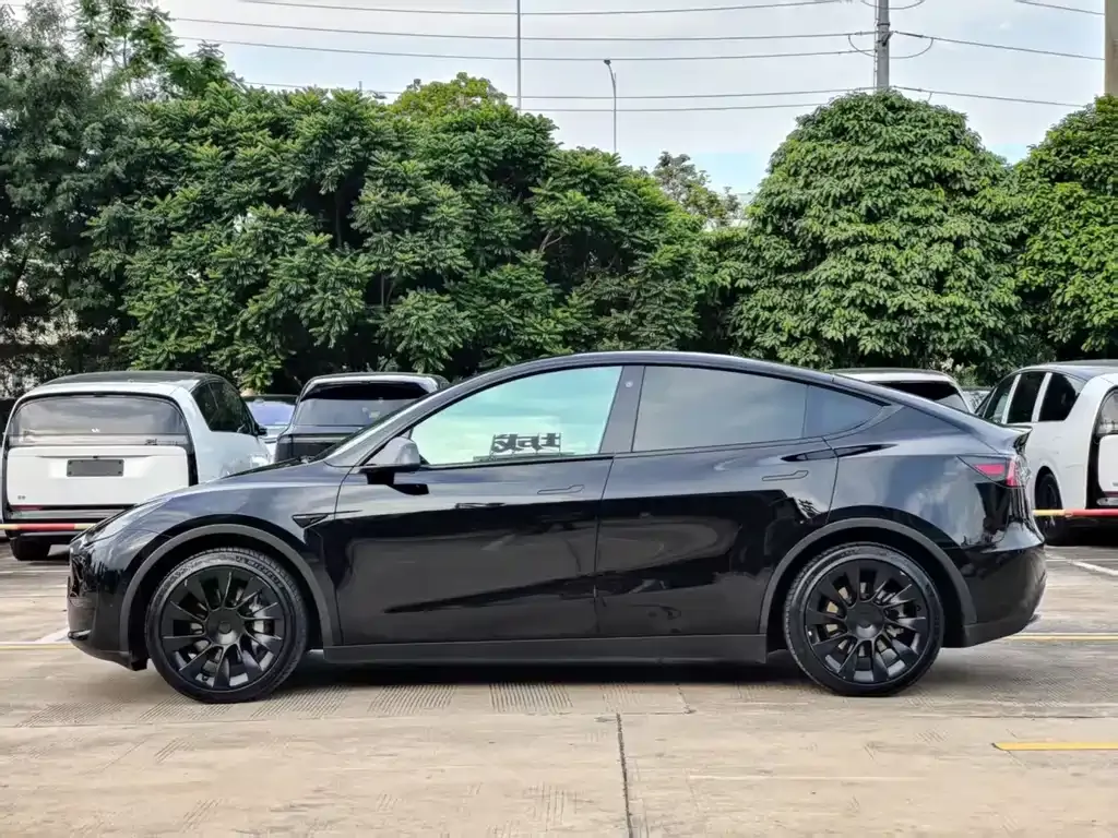 Tesla Model Y — фото 5