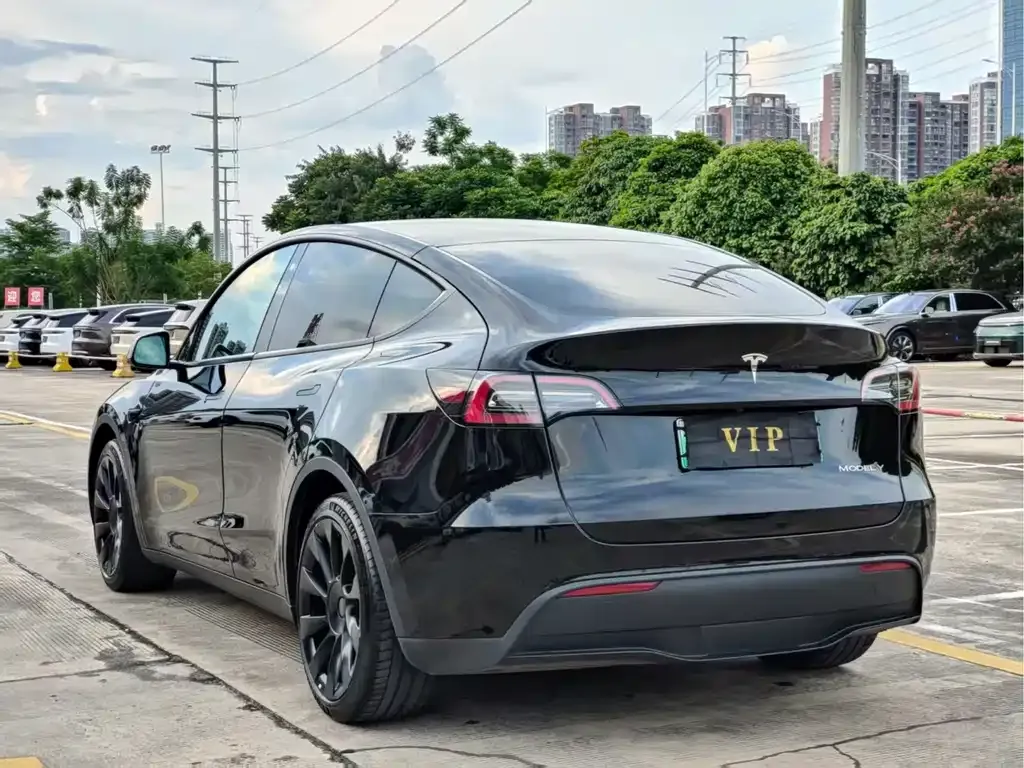Tesla Model Y — фото 9