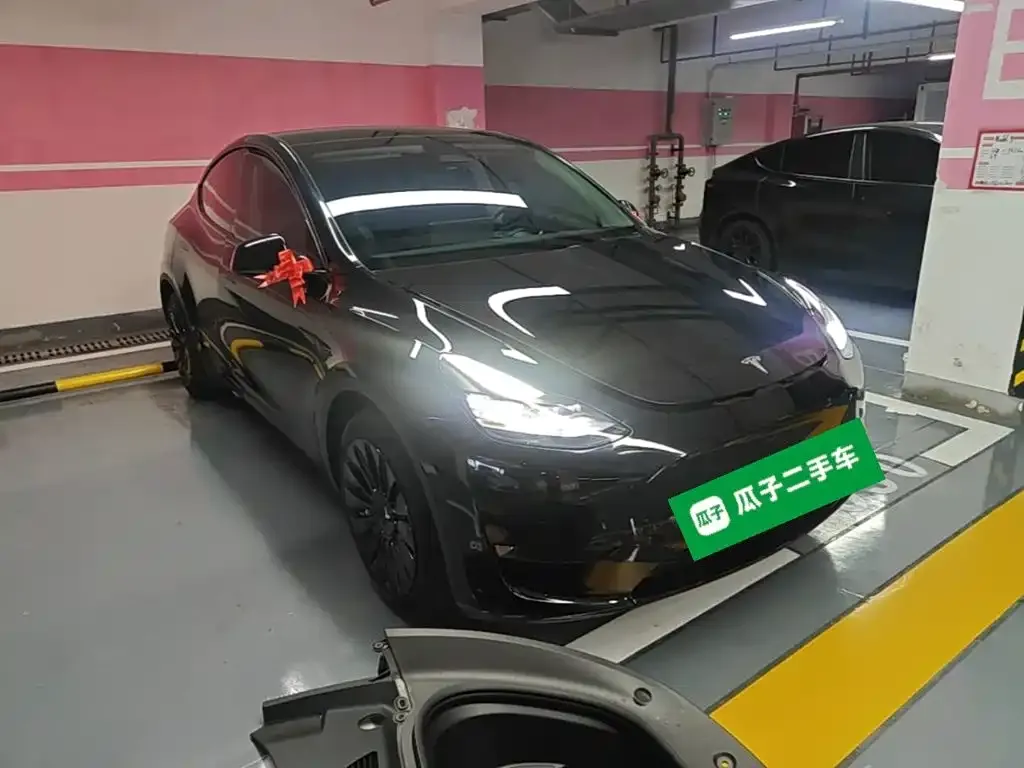 Tesla Model Y — фото 10