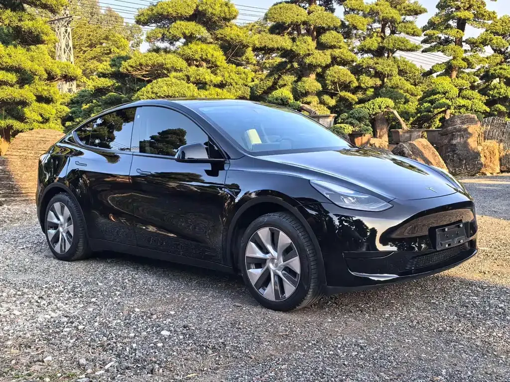 Tesla Model Y — фото 9