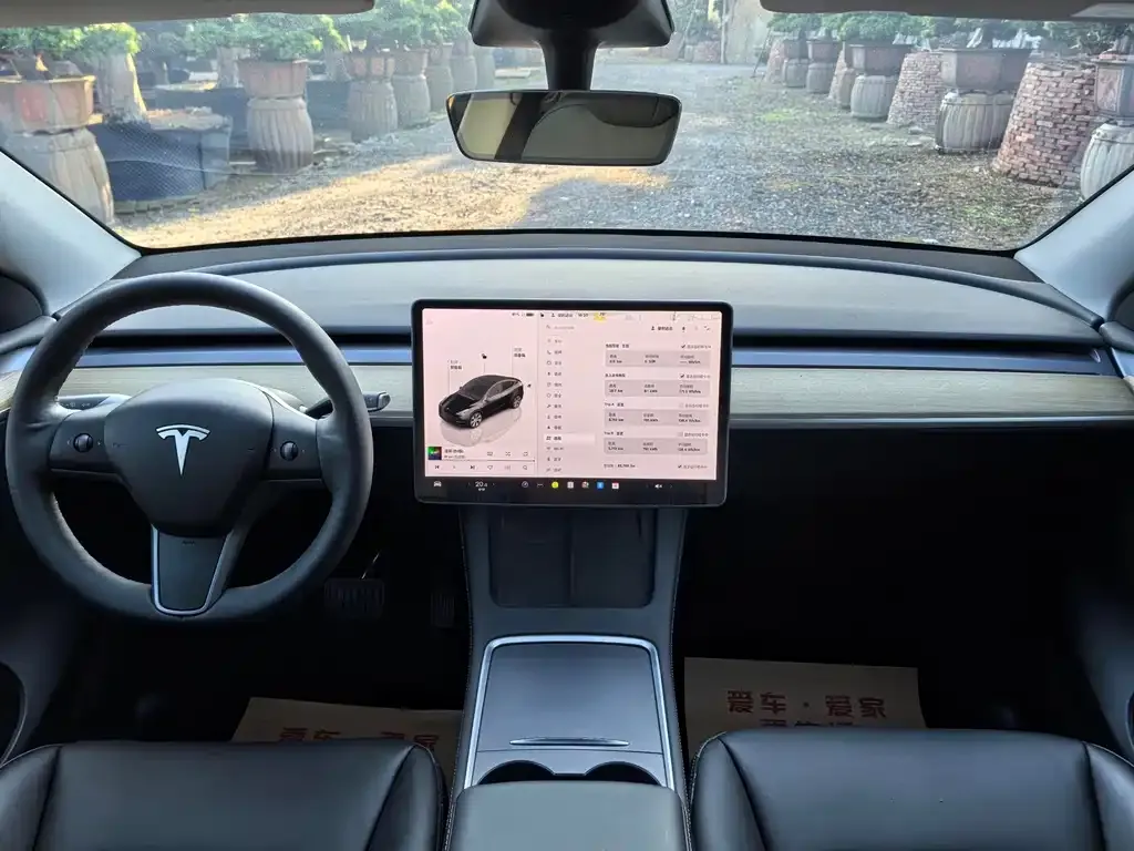 Tesla Model Y — фото 2