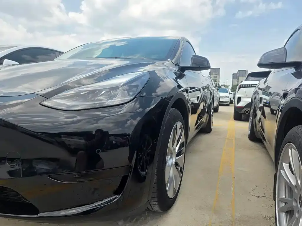 Tesla Model Y — фото 8