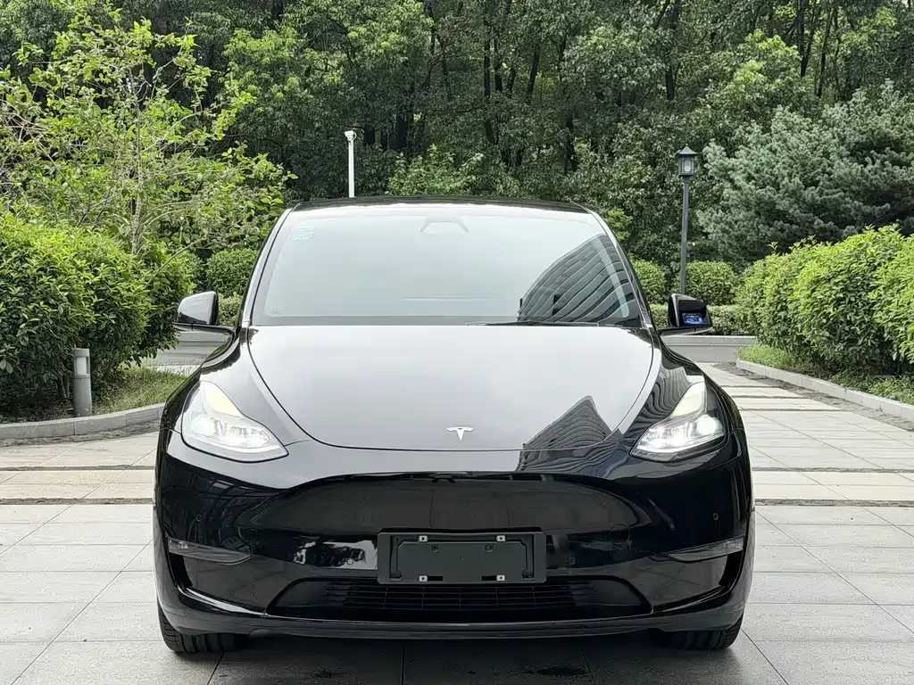 Tesla Model Y — фото 10