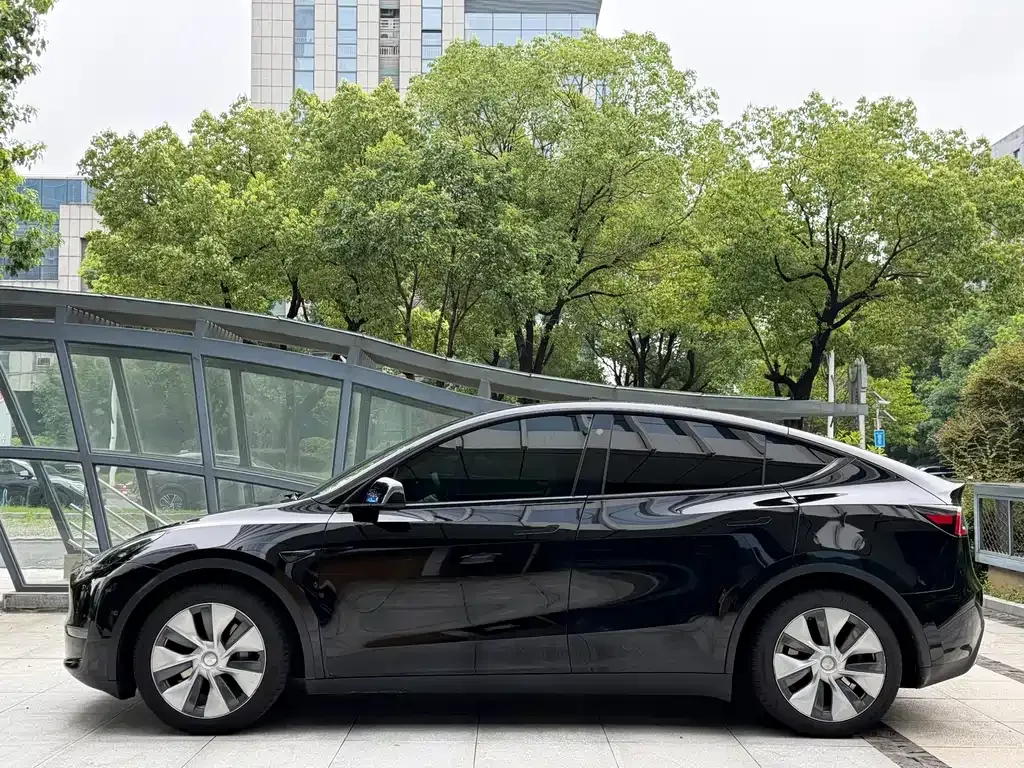 Tesla Model Y — фото 9