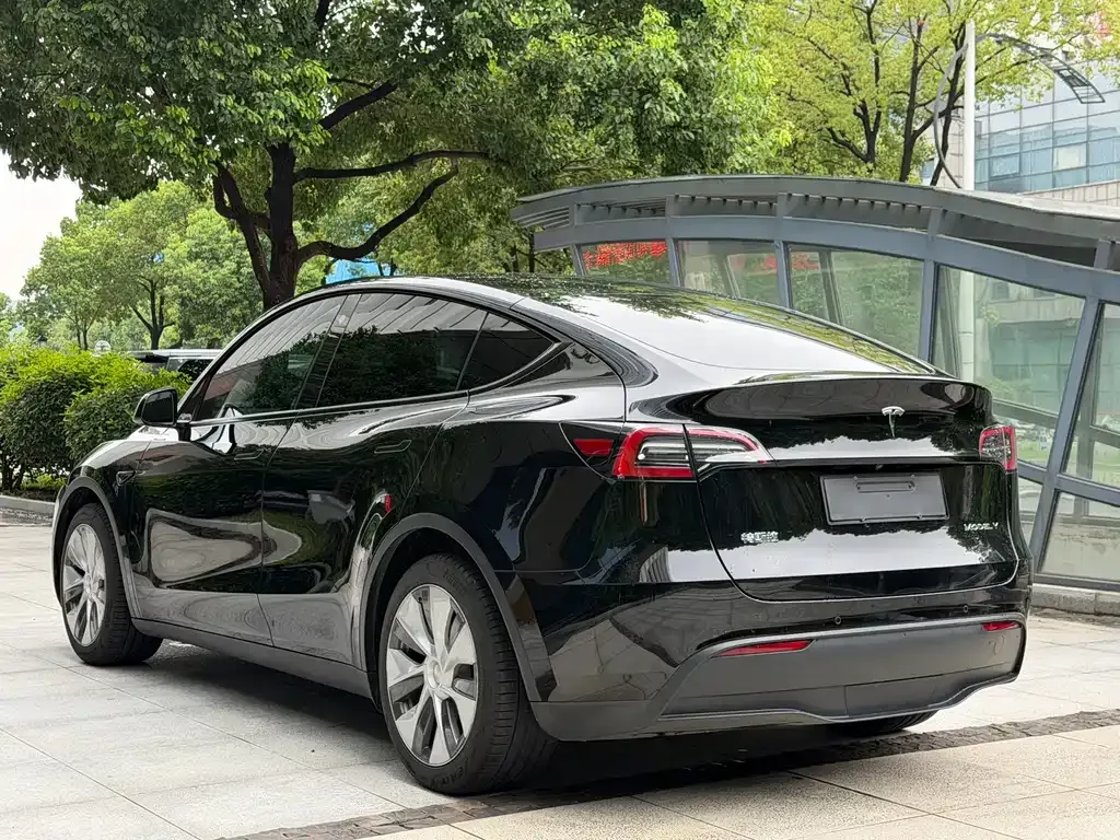 Tesla Model Y — фото 4