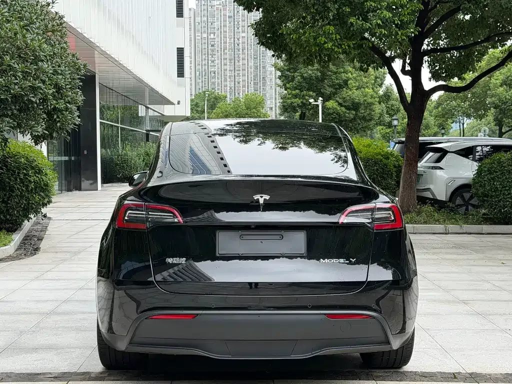 Tesla Model Y — фото 8