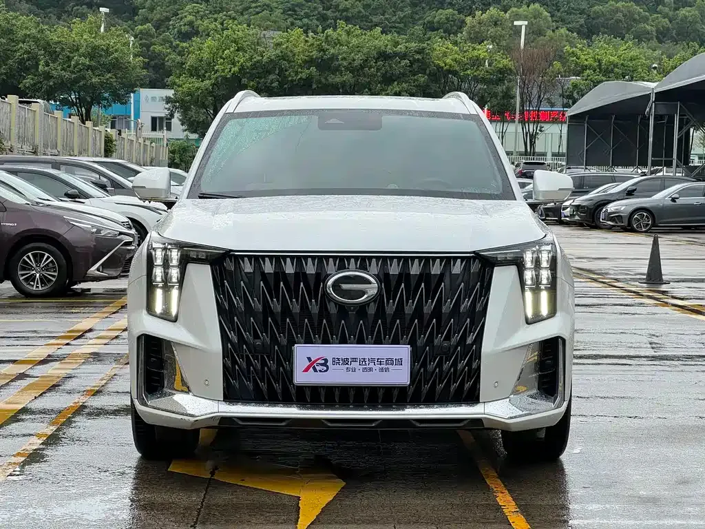 GAC Motor Trumpchi GS8 — фото 6