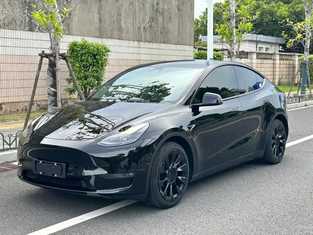 Tesla Model Y — фото 1