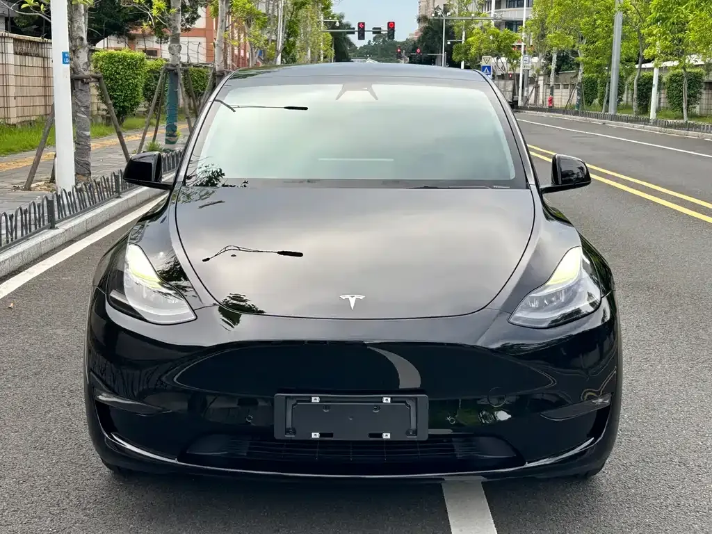 Tesla Model Y — фото 9