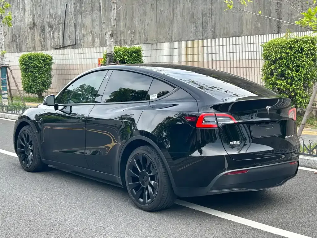 Tesla Model Y — фото 5